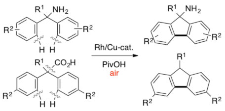 fig10