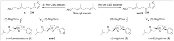 fig12