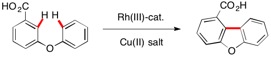 fig13