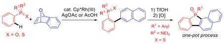 fig14