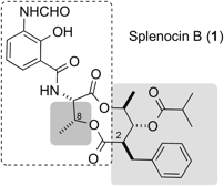fig15