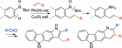 fig2
