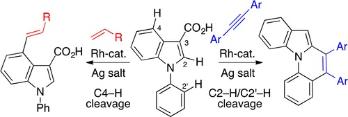 fig2
