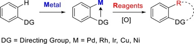 fig1