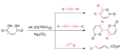 fig11
