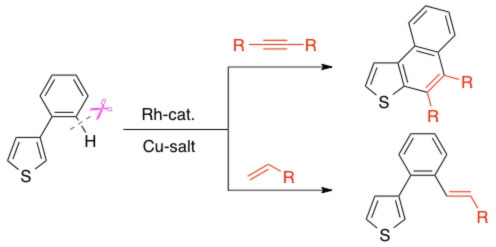 fig2