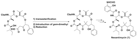 fig11