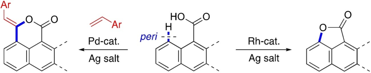 fig2