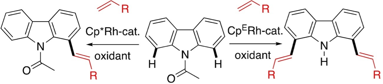 fig6