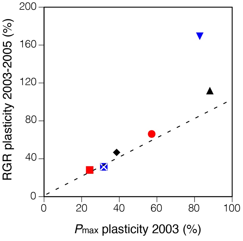 4Plasticity_Pmax-RGR