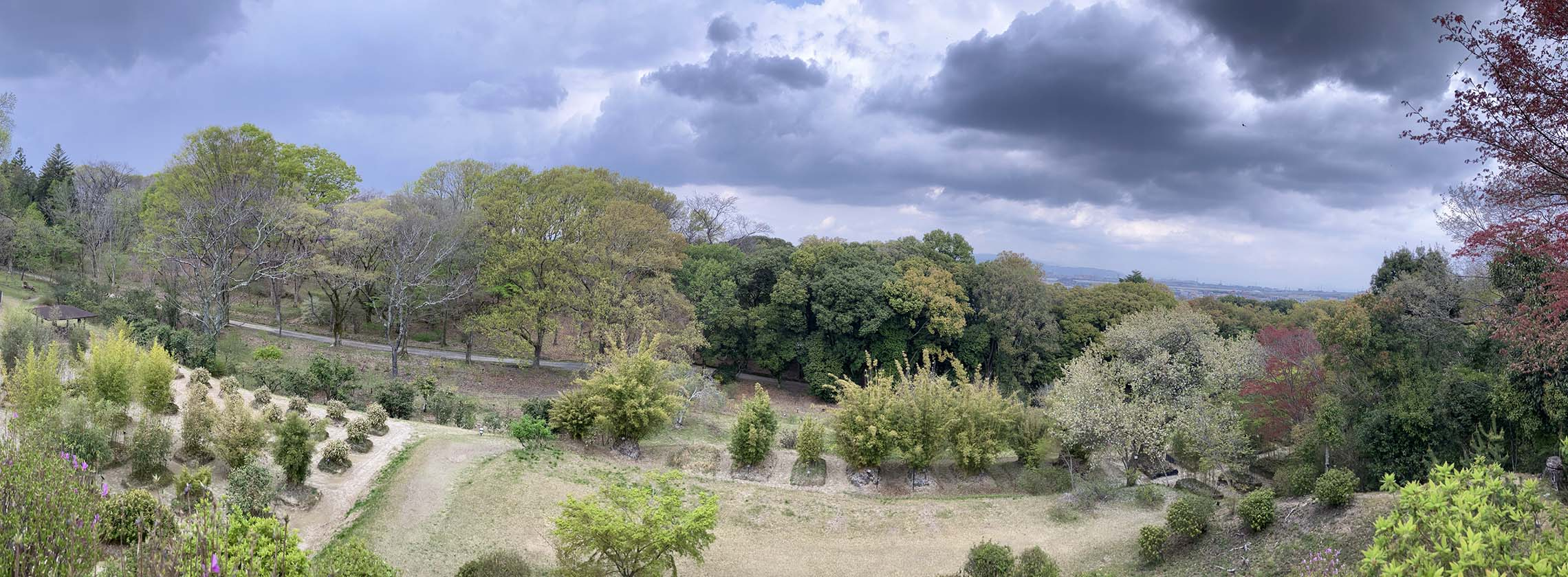 Botanical garden view Spring