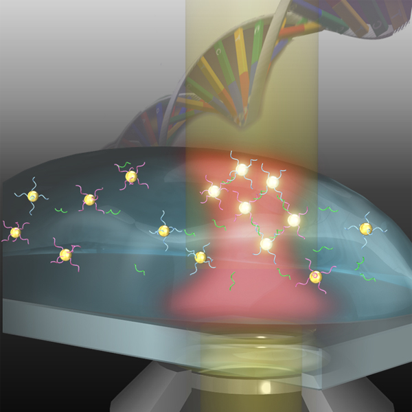 Bio-photophysics01