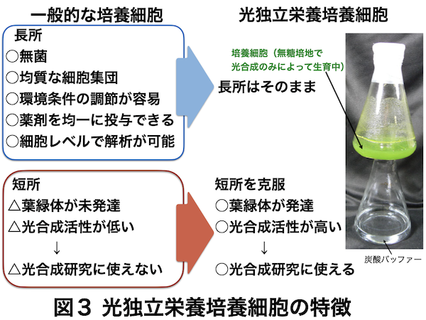 homegage-figures-APAC