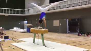 pommel-horse