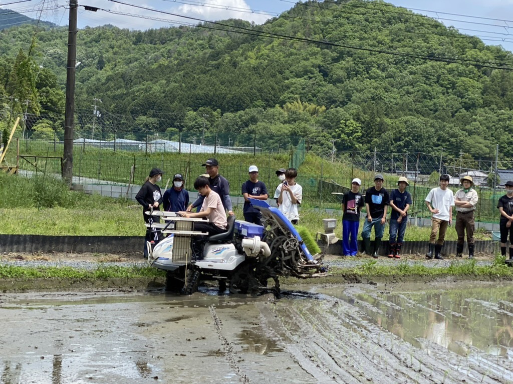 kousen (3)