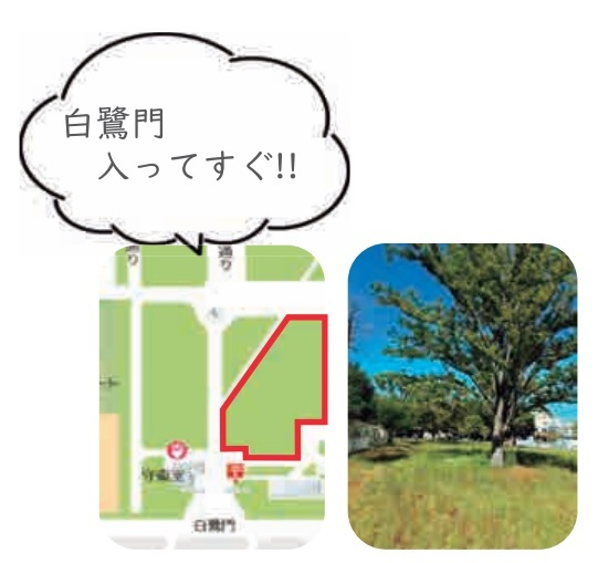 kyouin7