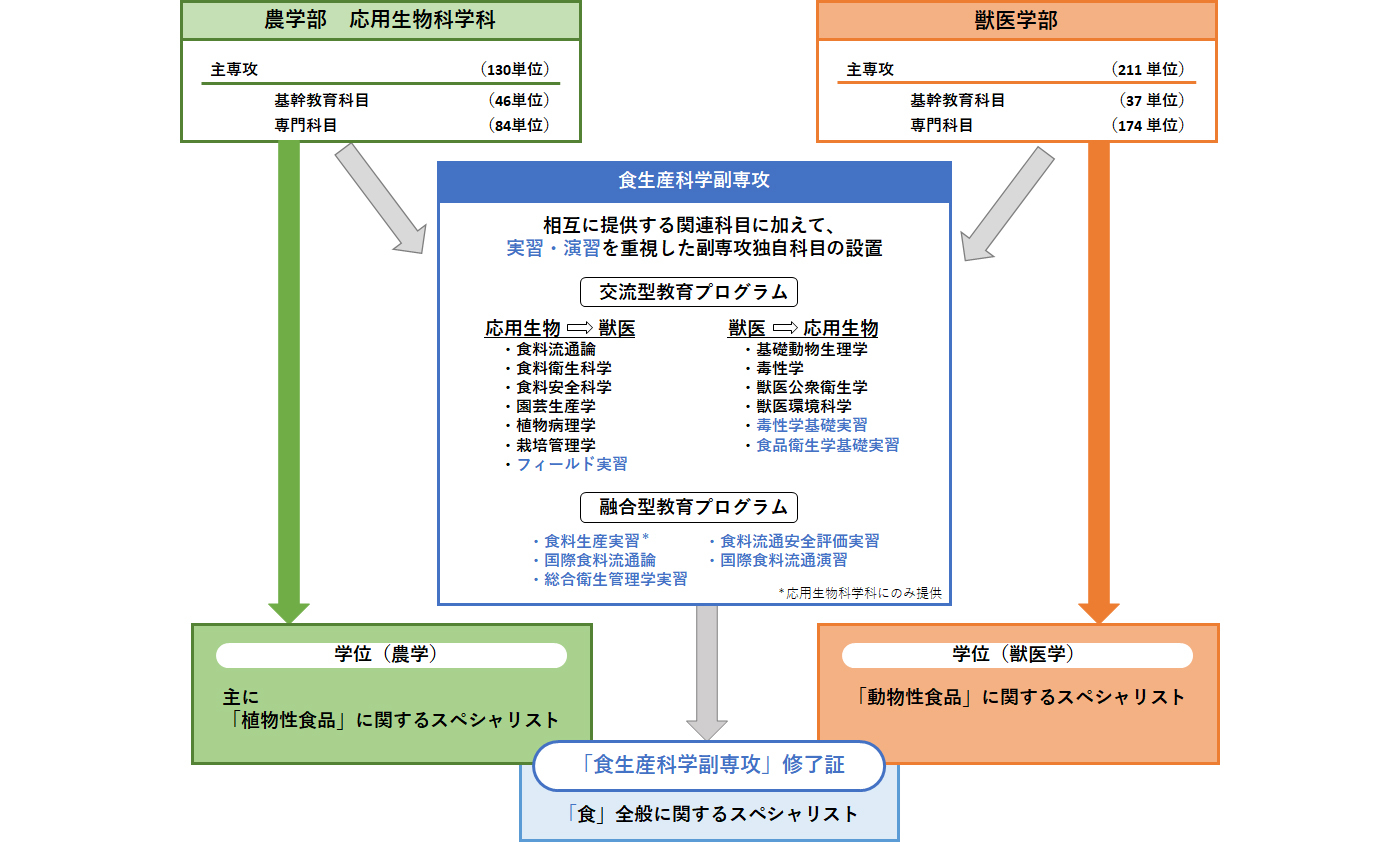 プログラムの特徴