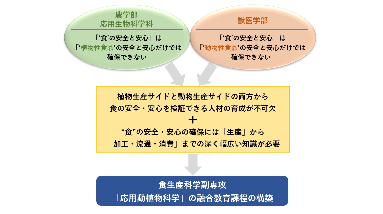 教育プログラムの概要new