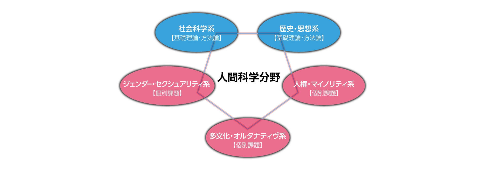 人間科学分野の特徴