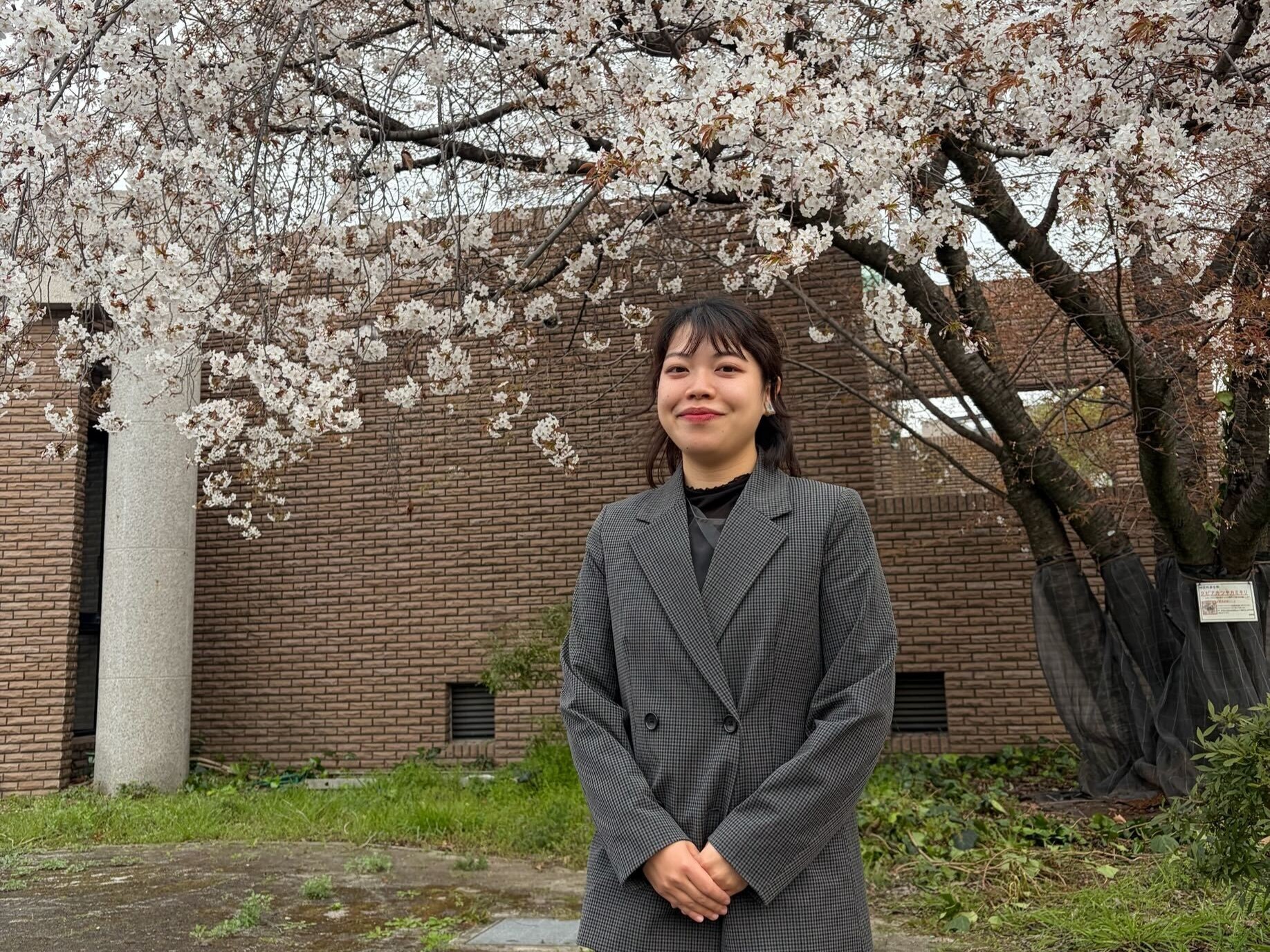 insei_voice_cognitive_niwa