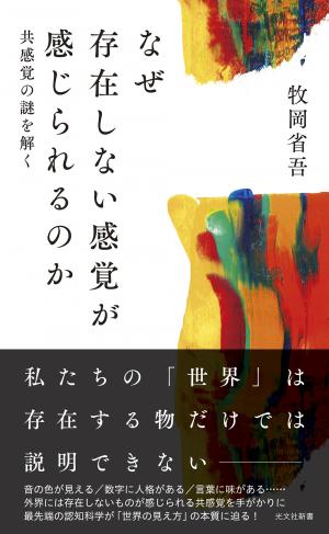 boook_makioka_synesthesia_cover obi