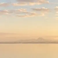 岩本華子