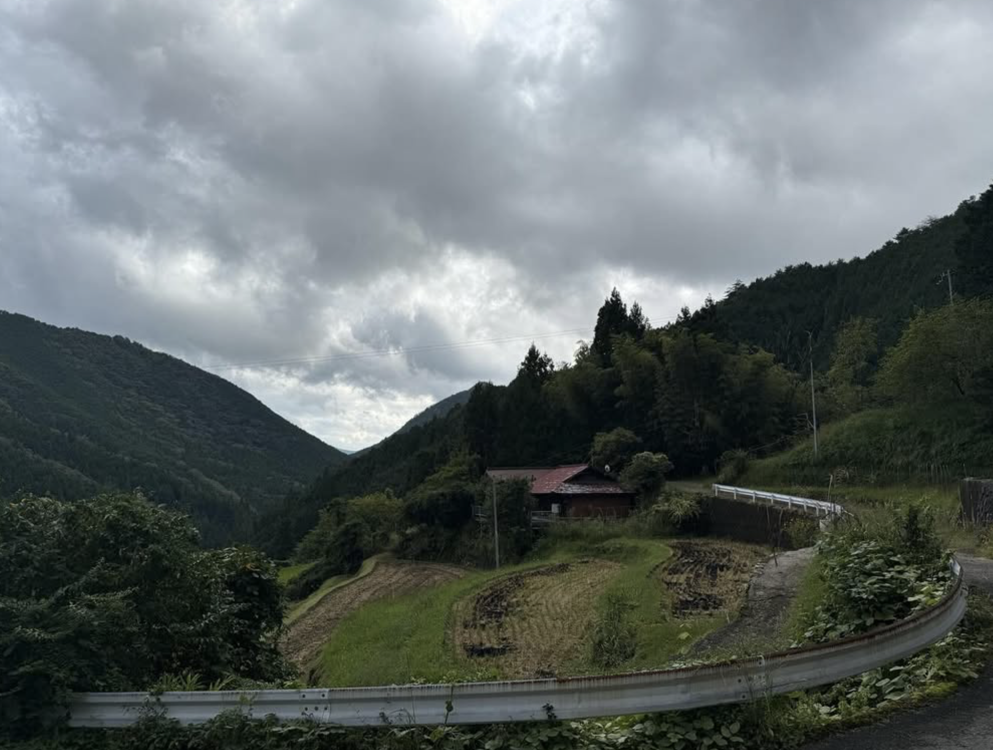 棚田02