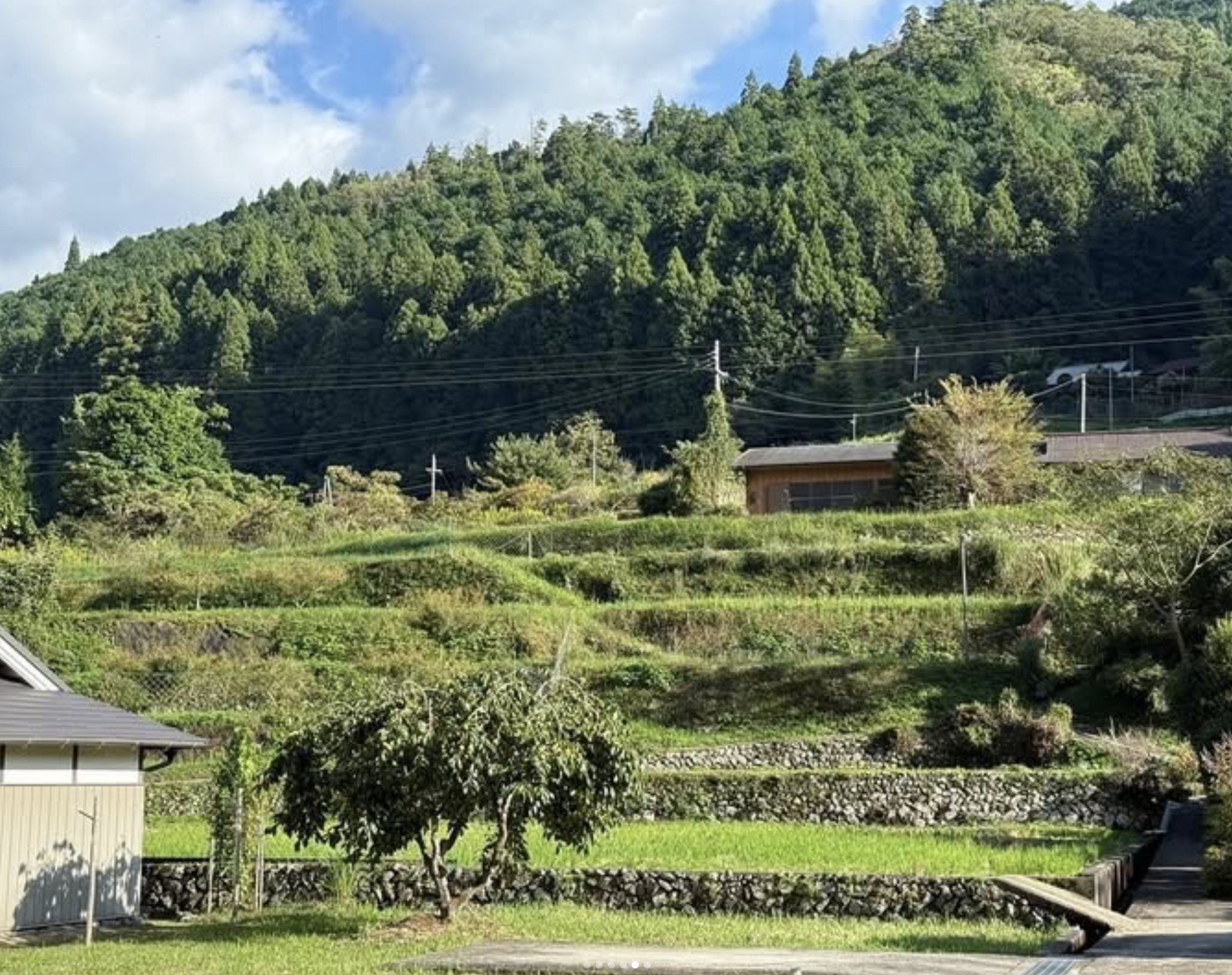 棚田03