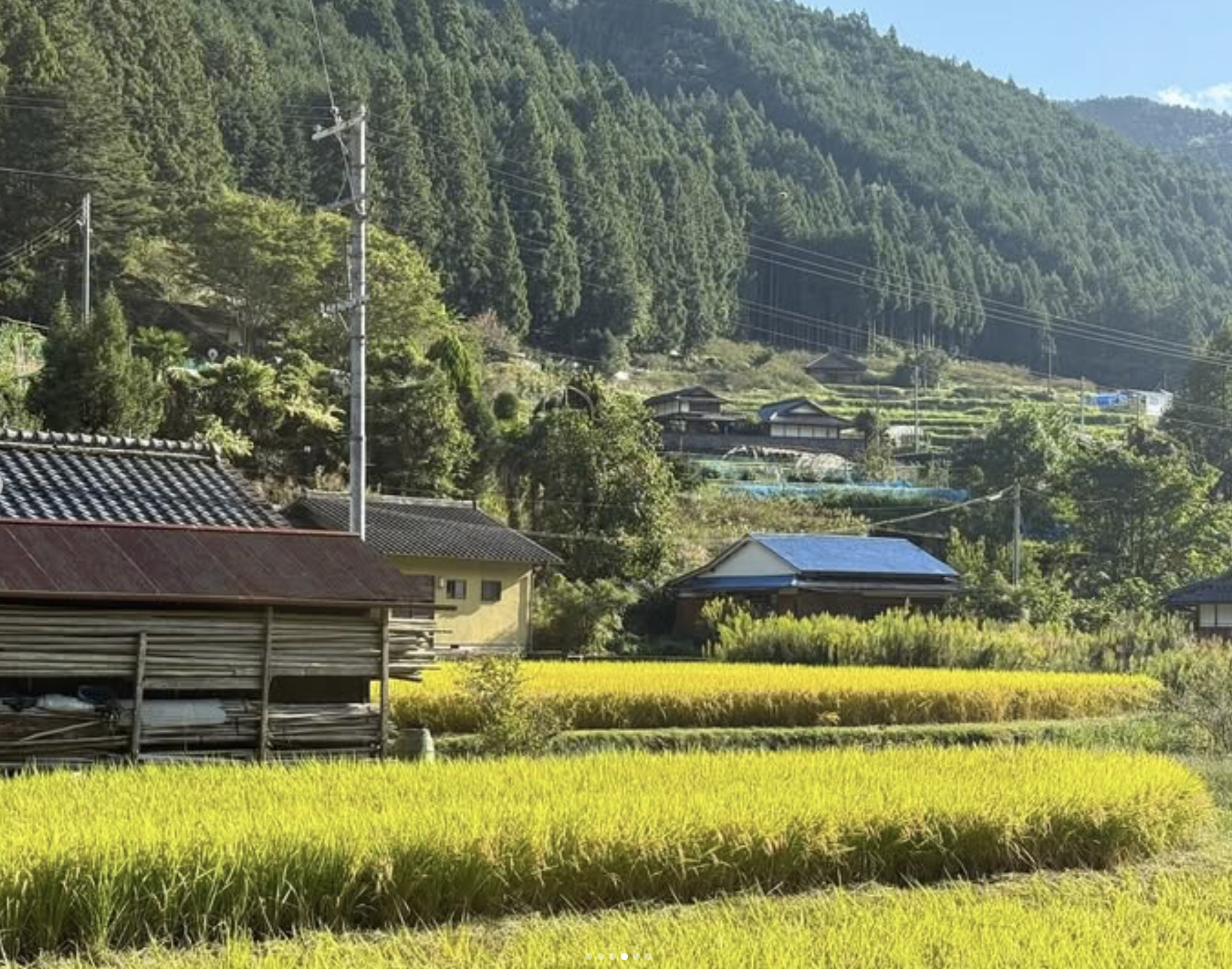 棚田04
