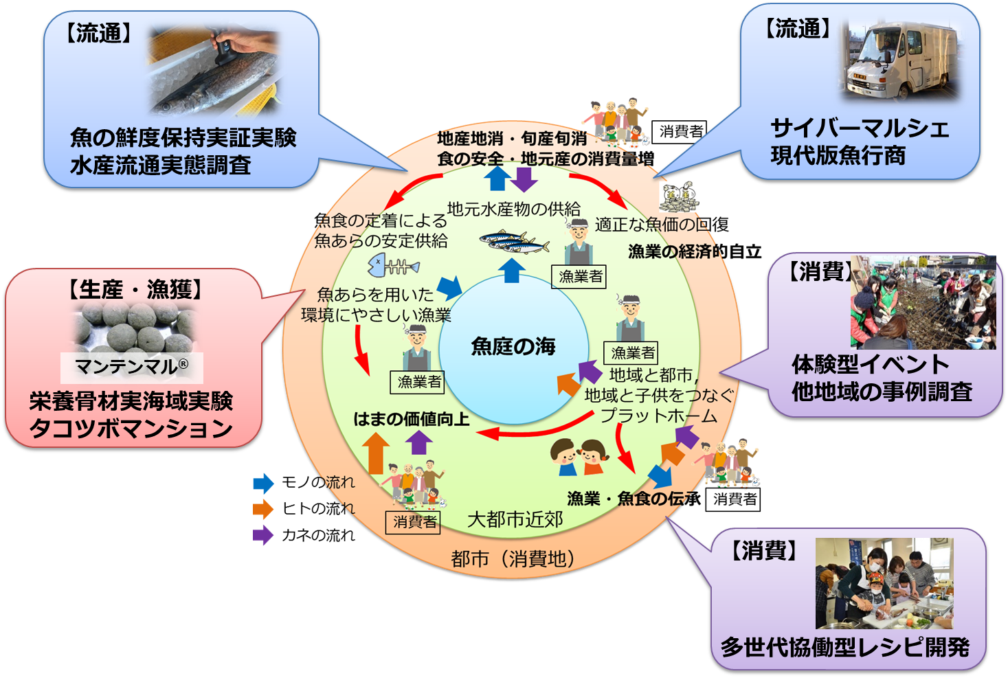 本提案の概念と具体的活動
