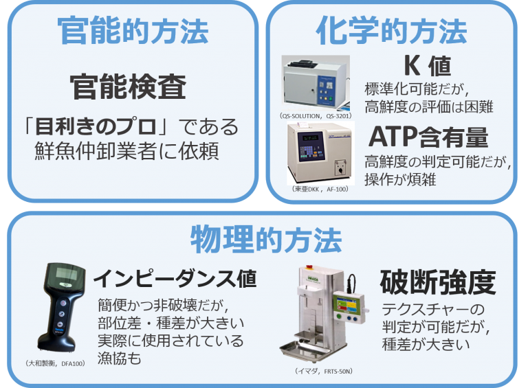 魚の鮮度をどうやって測るの？