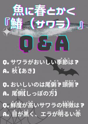 さわらカタログ改善後３