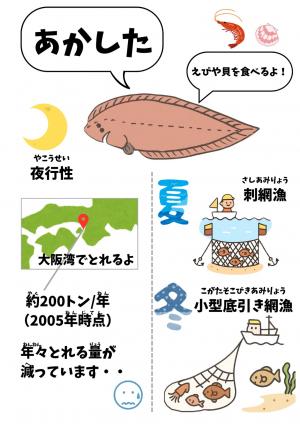 あかしたカタログ改善後２