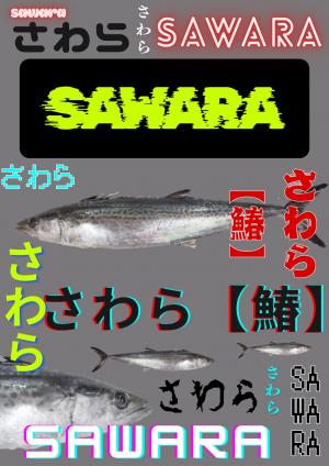 さわらカタログ改善後１