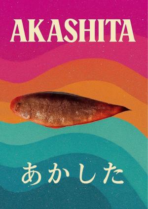 あかしたカタログ改善後１