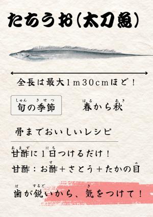 さわらカタログ改善後２