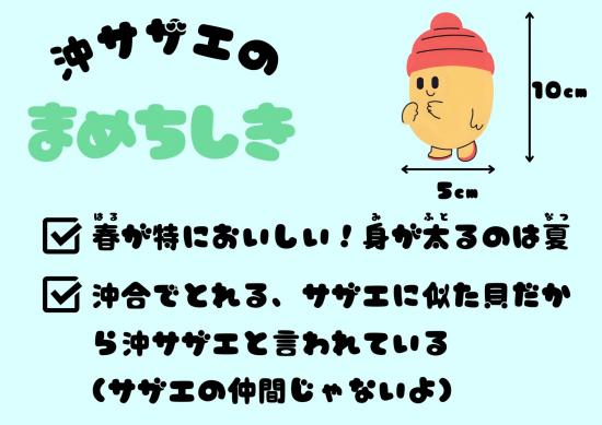 さざえカタログ2