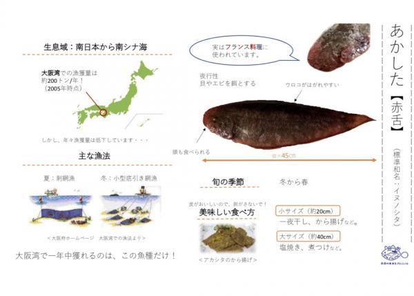 あかしたデジタルカタログ改善前