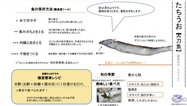 太刀魚カタログ改善前