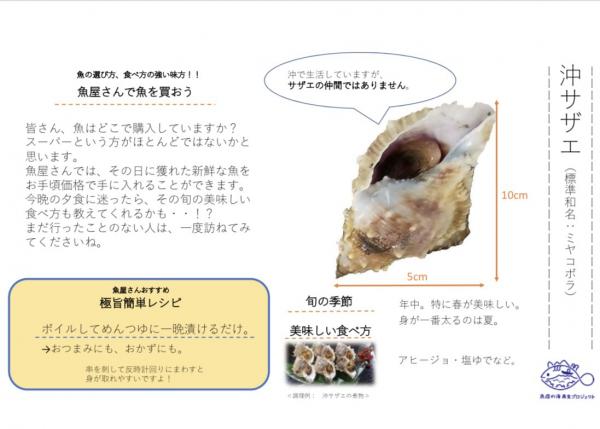 沖サザエカタログ改善前