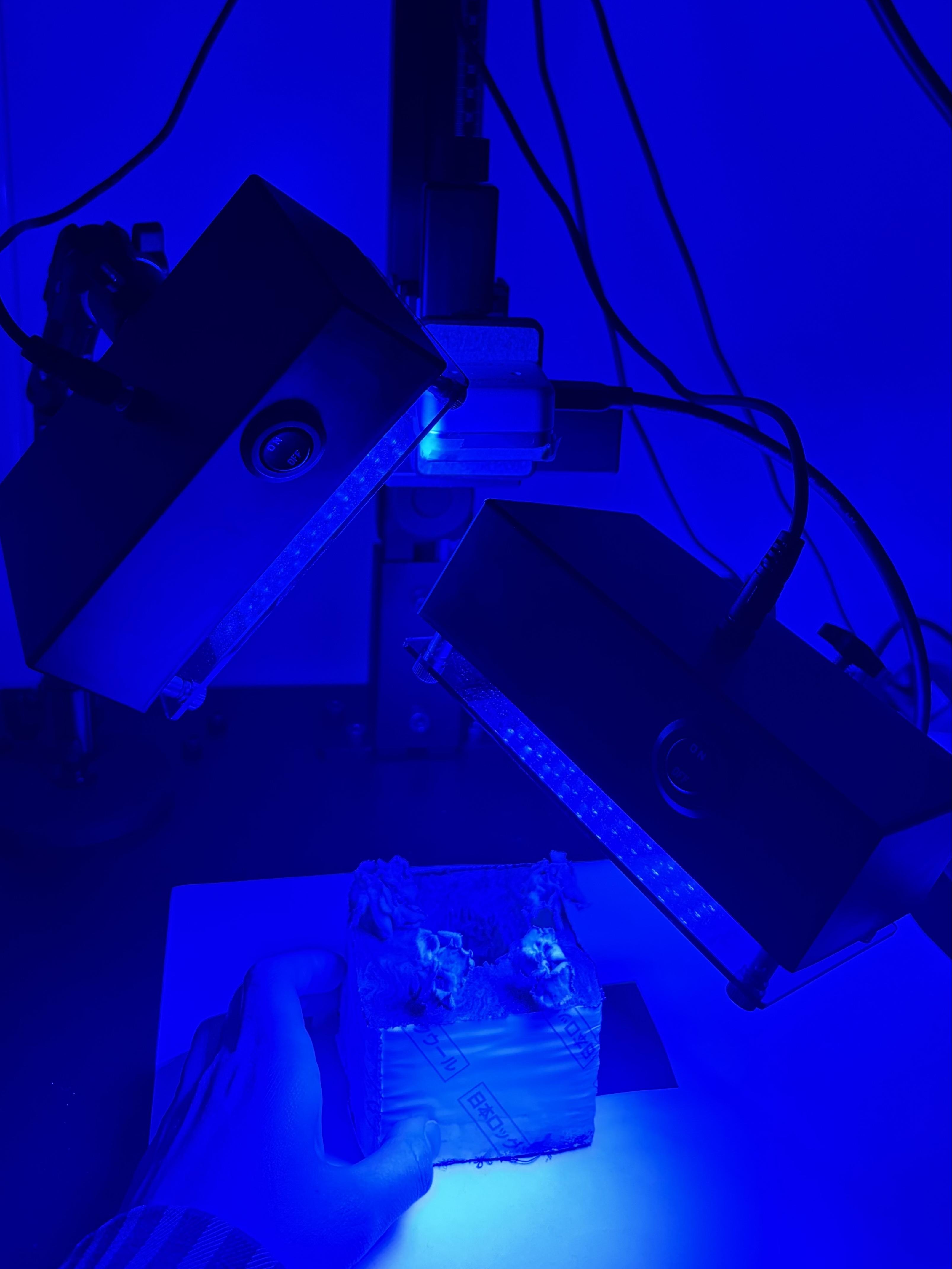 virusvector2