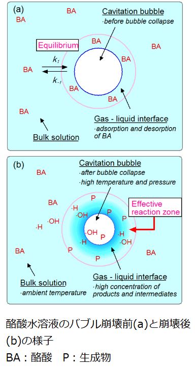 酪酸 バブルへの濃縮