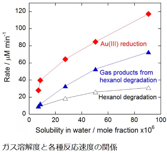 Au還元 ヘキサノール分解