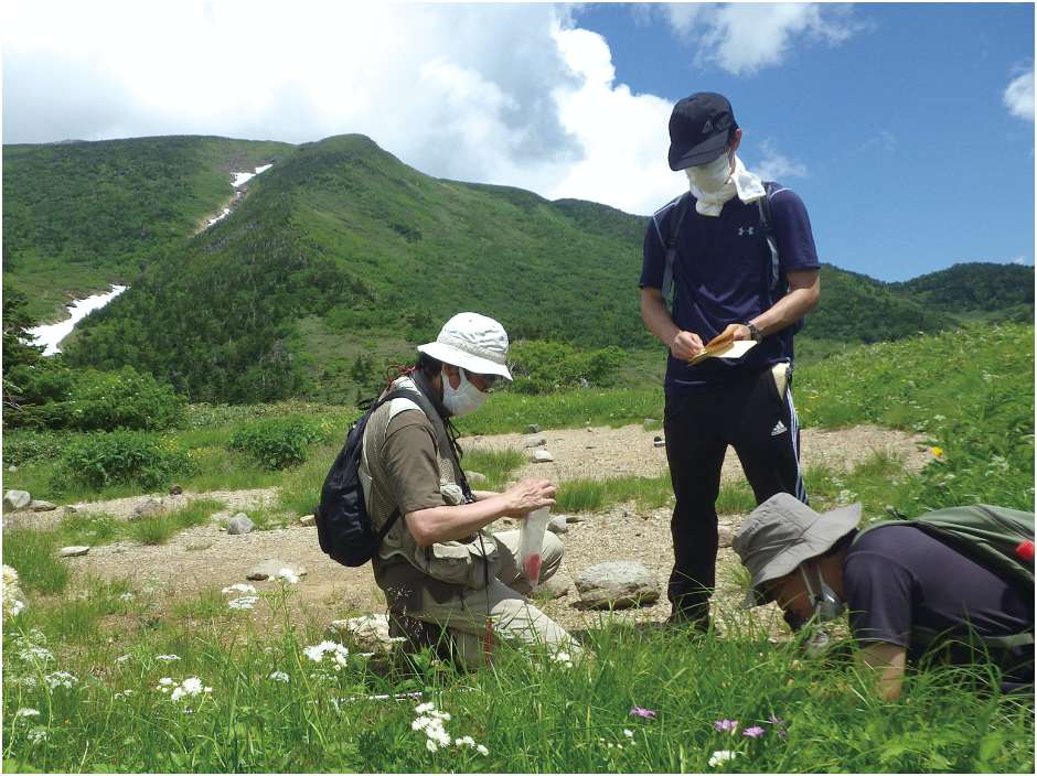 高山における侵入植物対策､都市緑地における絶滅危惧植物の保全