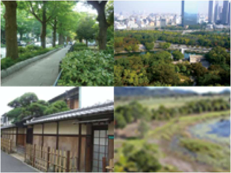 都市や自然地域での景観計画・デザイン、緑地計画とまちづくり
