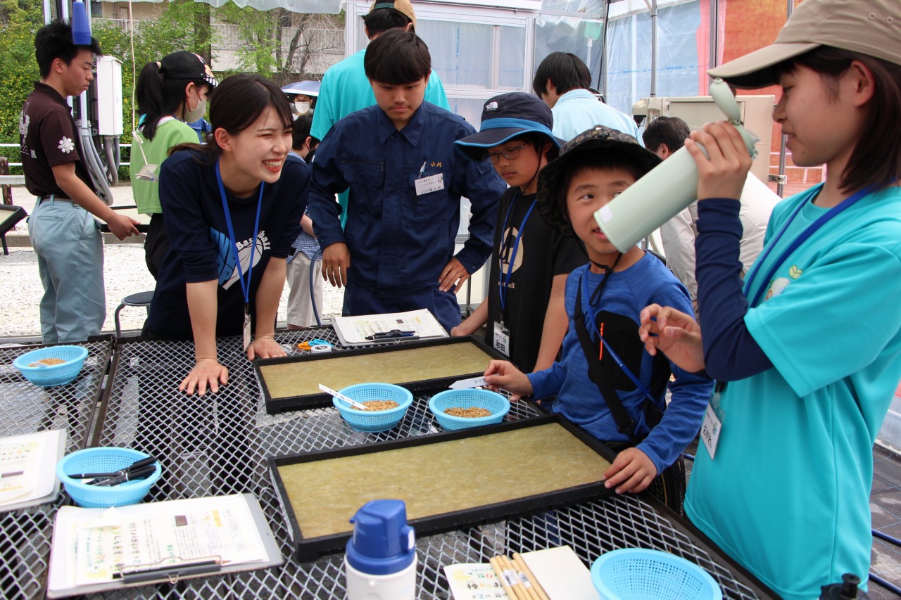 写真：播種作業