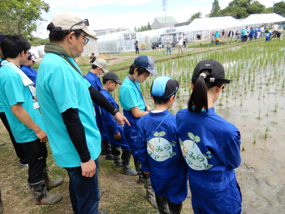 写真：田の水抜きの説明を聞く子ども達