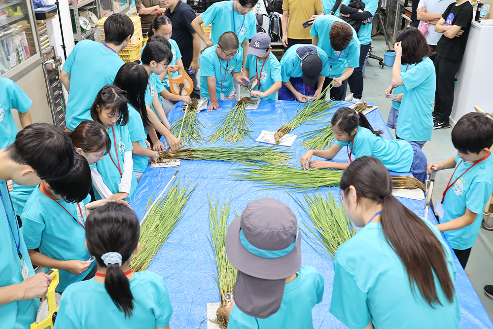 06_tanq260829