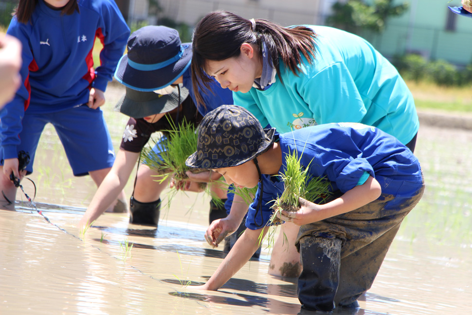 写真：手植えする子どもと大学生