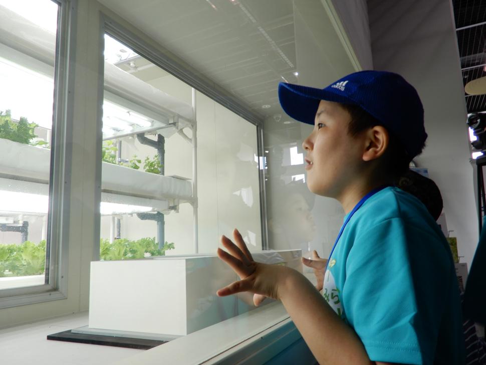 写真：植物センターを見学する子ども